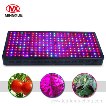 High Umol 1200 Watt LED Grow Light